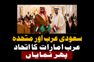سعودی عرب اور متحدہ عرب امارات کا اتحاد پھر نمایاں، خلیجی یکجہتی کا مضبوط پیغام | لمحہ نیوز