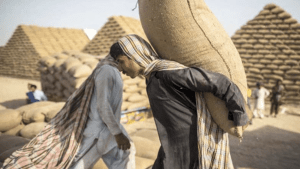 بازار میں گندم اور آٹے کے تھیلے، قیمتوں کی جانب اشارہ