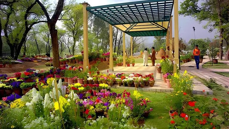 لاہور کے پارک میں سبز پودوں اور راستے کی ایک عمومی تصویر