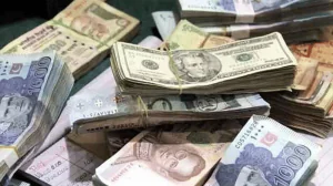 بینک نوٹ اور ترسیلات زر کی نمائندہ تصویر