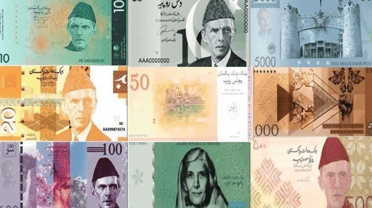 سینیٹ اسٹینڈنگ کمیٹی میں کرنسی نوٹوں کے ڈیزائن پر بریفنگ دیتے ہوئے اسٹیٹ بینک کے اہلکار