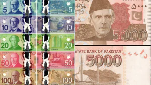 کرنسی نوٹس اور تبادلہ ریٹس کی نمائندہ تصویر