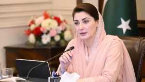 مریم نواز شریف اجلاس کی صدارت کر رہی ہیں