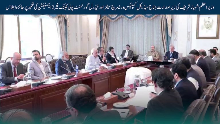 وزیراعظم شہباز شریف اجلاس کی صدارت کرتے ہوئے