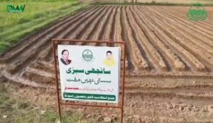 تحصیل رائیونڈ میں سرکاری اراضی پر 'سانجھی سبزی' پروگرام کے تحت کاشت کا عمل اور نگرانی کرتے ہوئے حکومتی اہلکار