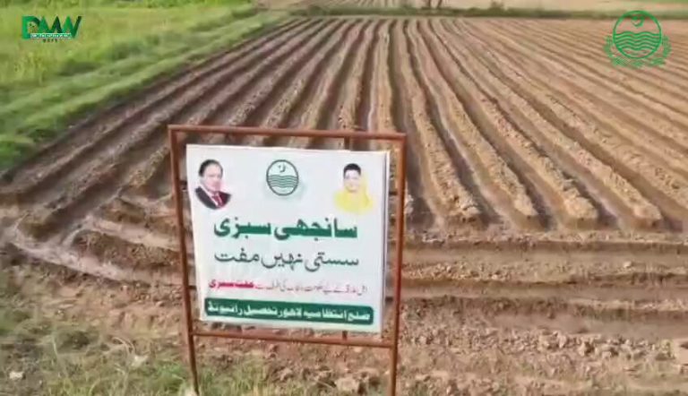 تحصیل رائیونڈ میں سرکاری اراضی پر 'سانجھی سبزی' پروگرام کے تحت کاشت کا عمل اور نگرانی کرتے ہوئے حکومتی اہلکار