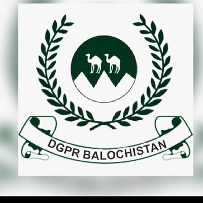وزیراعلیٰ بلوچستان میر سرفراز بگٹی سرکاری بیان دیتے ہوئے