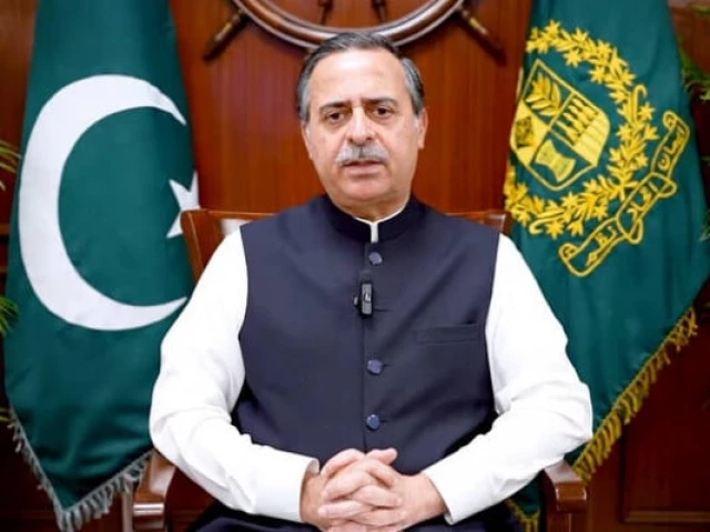 وفاقی وزیر محمد جنید انور چودھری میٹنگ کی صدارت کرتے ہوئے