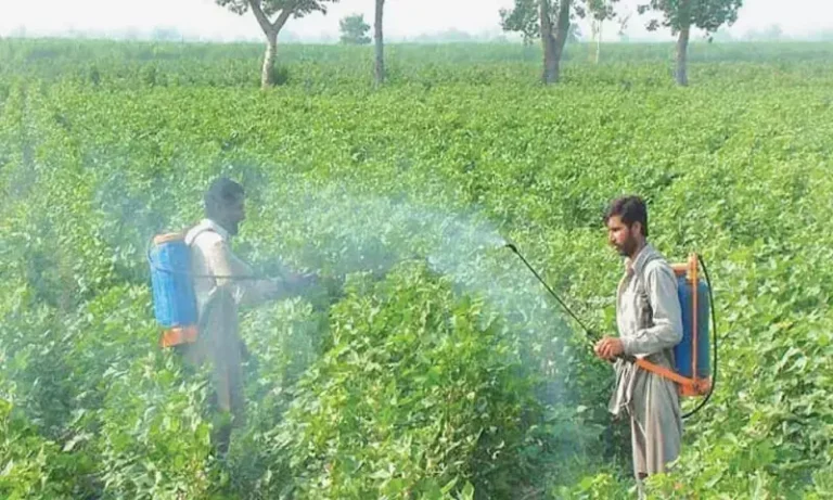 نیفسا کا کیڑے مار ادویات کے لیے ڈیجیٹل ریگولیٹری فریم ورک کا اعلان