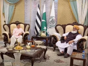 مولانا فضل الرحمان سے ملاقات کرتے ہوئے پی ٹی آئی وفد کے رہنمائیں
