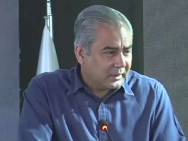 وزیر داخلے محسن نقوی کی فرنٹیکس اور بین الاقوامی مراکز پر ہجرت پالیسی ترقی کے ساتھ ملاقات کی تصویر جس میں غیر قانونی ہجرت روکنے کے اقدامات زور دیے گئے