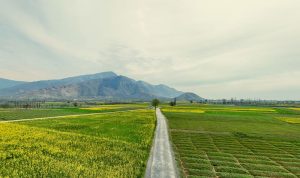 ای پی آئی 2026: پاکستان 22 درجے بہتری کے بعد 157ویں نمبر پر | لمحہ نیوز