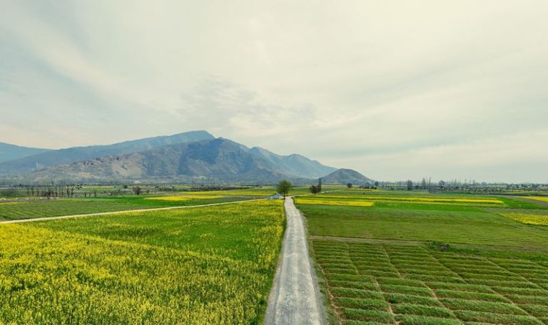 ای پی آئی 2026: پاکستان 22 درجے بہتری کے بعد 157ویں نمبر پر | لمحہ نیوز