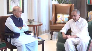 وزیراعظم شہباز شریف اور وفاقی وزیرِ داخلہ محسن نقوی کی ملاقات سے متعلق سرکاری بیان