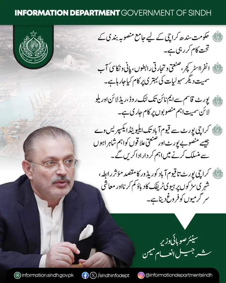 سینئر وزیر شرجیل انعام میمن کی تصویر