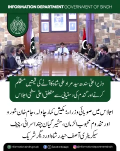 وزیراعلیٰ سندھ سید مراد علی شاہ اجلاس کی صدارت کرتے ہوئے