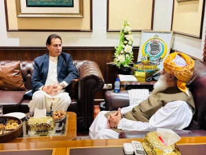 اسپیکر ایاز صادق اور مولانا فضل الرحمان کی ملاقات کی علامتی تصویر