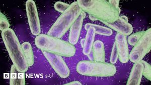 سائنس فہر کے لیے لیب یا وائرس متعلق تصویر