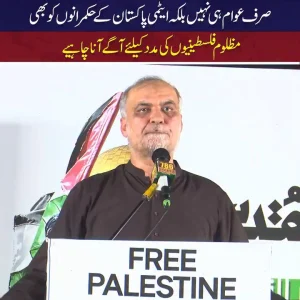 حافظ نعیم الرحمن خطاب کرتے ہوئے، جماعتِ اسلامی کا غزہ مارچ