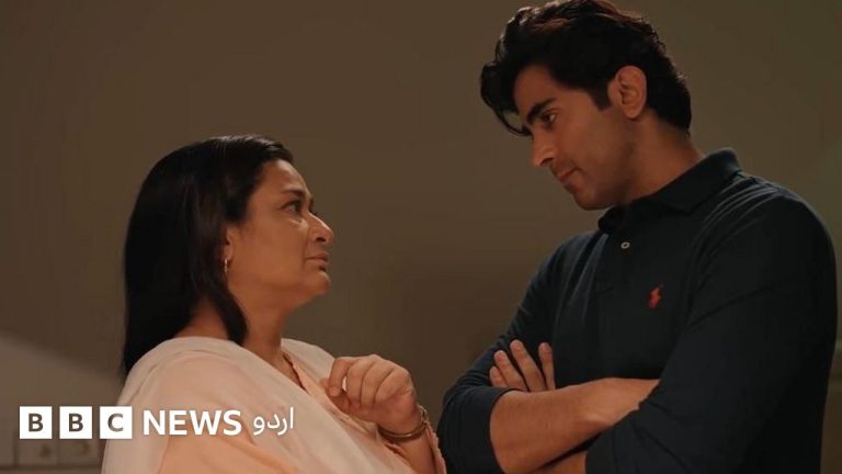 ثانیہ سعید کا پورٹریٹ، اداکارہ نے ٹی وی ڈراموں میں خواتین کے کرداروں پر تنقید کی
