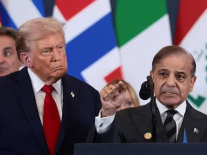 نوبل امن انعام یافتہ ناوینتھم نوی پلّے کی تصویر یا نمائندہ تصویر