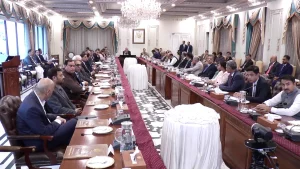 فیول سبسڈی پروگرام کی کامیابی کا اعلان