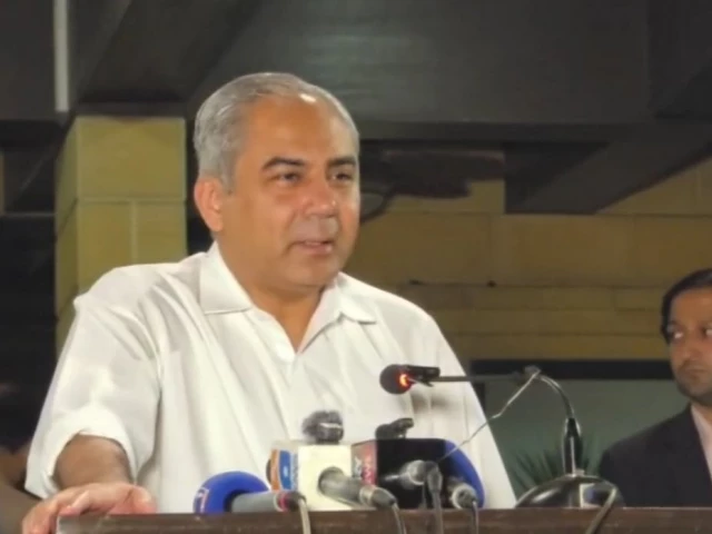 استنبول میں ترک وزیر داخلہ کے ساتھ ملاقات کے دوران محسن نقوی