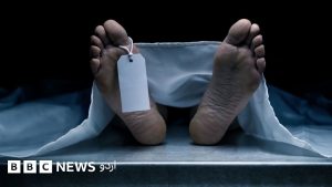 اسلام آباد کے سیکٹر جی ٹین میں درخت کے ساتھ لاش کی جگہ کا منظر