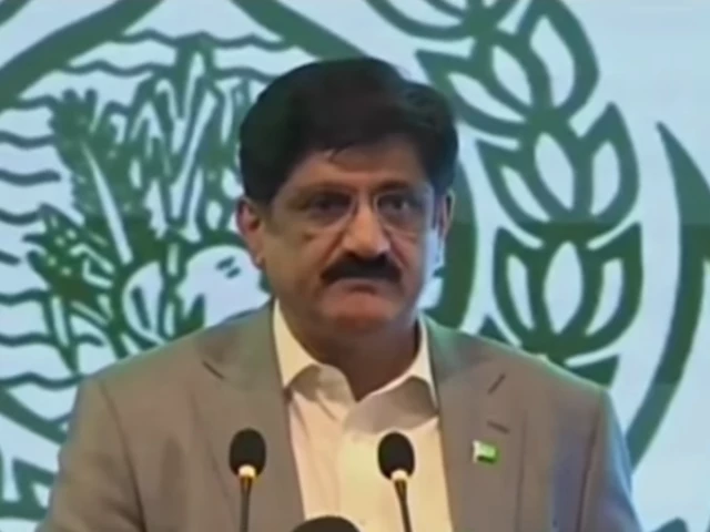 سکھر میں میڈیا سے بات کرتے ہوئے سندھ وزیرِ اعلیٰ مراد علی شاہ