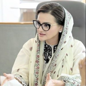 مریم اورنگزیب کا بیان، گورنر راج اور ایمرجنسی کے بارے میں