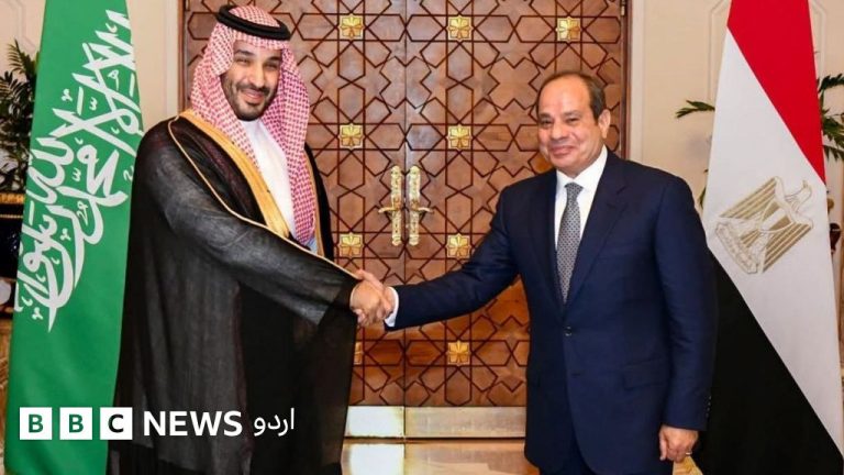 مصری صدر عبدالفتاح السیسی کی پارلیمانی اپیل اور قومی دفاعی کونسل کا اجلاس