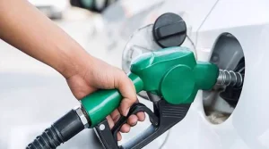 اخباری سرخی: حکومت نے پیٹرولیم مصنوعات کی قیمتوں میں کمی کا اعلان کیا