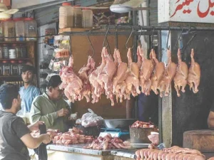 کراچی مارکیٹ میں چکن بیچنے والی دوکانوں کی قطاریں