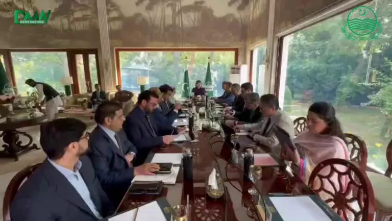 وزیراعلیٰ مریم نواز شریف کی زیرِ صدارت اجلاس؛ دیہی ترقی کے منصوبے کا نوٹیفکیشن