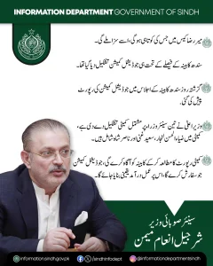 شرجیل انعام میمن کا بیان — میر رضا کیس اور جوڈیشل کمیشن کی رپورٹ