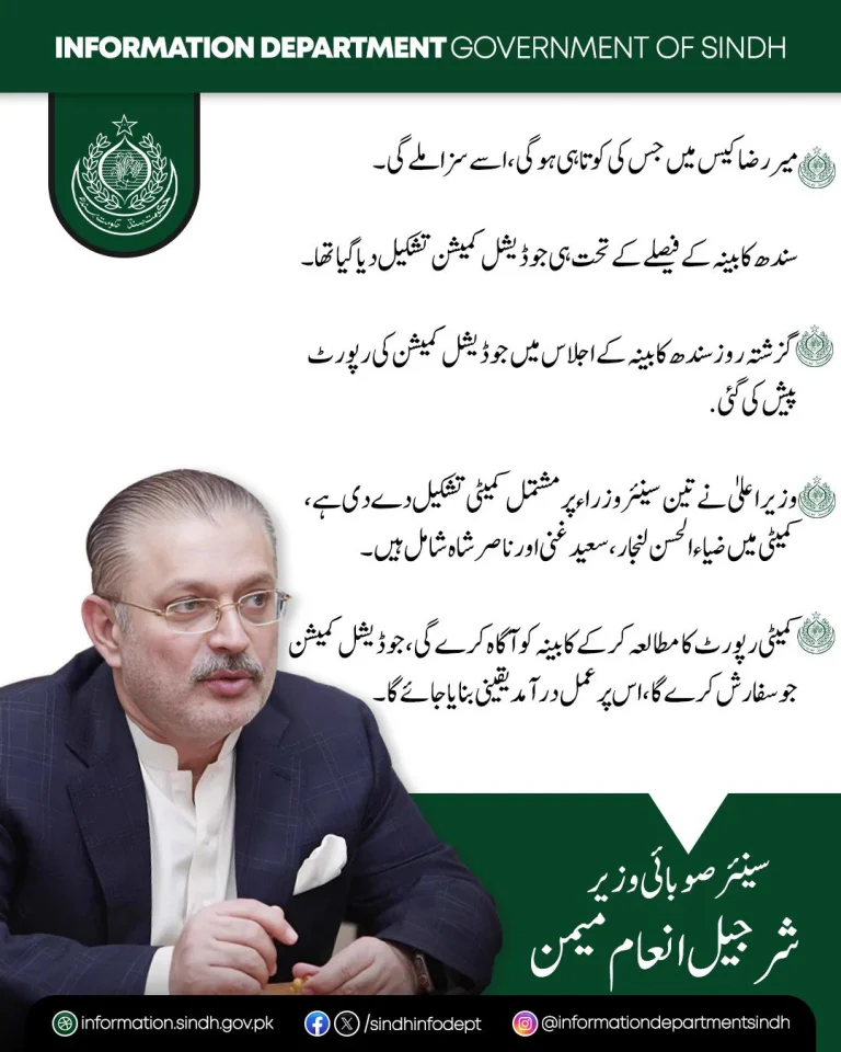 شرجیل انعام میمن کا بیان — میر رضا کیس اور جوڈیشل کمیشن کی رپورٹ