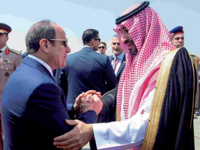 مصر کے صدر عبد الفتاح السیسی کا سرکاری بیان جاری کرتے ہوئے فوٹو