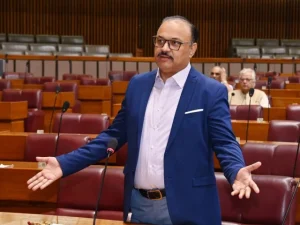 ملک عامر ڈوگر بیان دیتے ہوئے