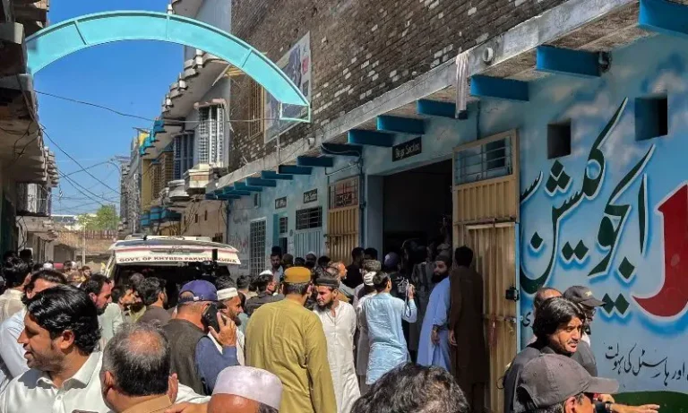 عدالتی استدعا کا متن اسکول حفاظت اور آئینی خلاف ورزی کے حوالے سے