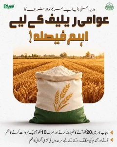 مریم نواز شریف کے عوامی ریلیف اقدامات کے حوالے سے سرکاری اعلامیہ