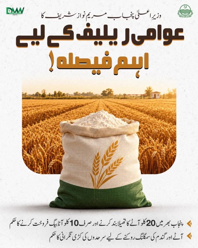 مریم نواز شریف کے عوامی ریلیف اقدامات کے حوالے سے سرکاری اعلامیہ