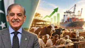 وزیرِاعظم کی میٹنگ میں لائیو اسٹاک اصلاحات اور ویکسین پلان کی منظوری