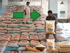 وزیرِاعلیٰ کی صدارت میں اجلاس جس میں آٹے کے تھیلوں پر پابندی کا فیصلہ کیا گیا