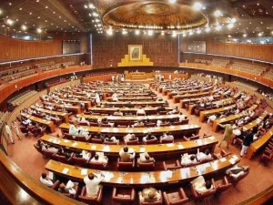 سینیٹ ہاؤس میں ایوان کے اجلاس کے دوران بحث
