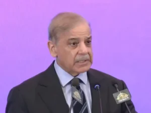 وزیراعظم شہباز شریف اجلاس کی صدارت کرتے ہوئے