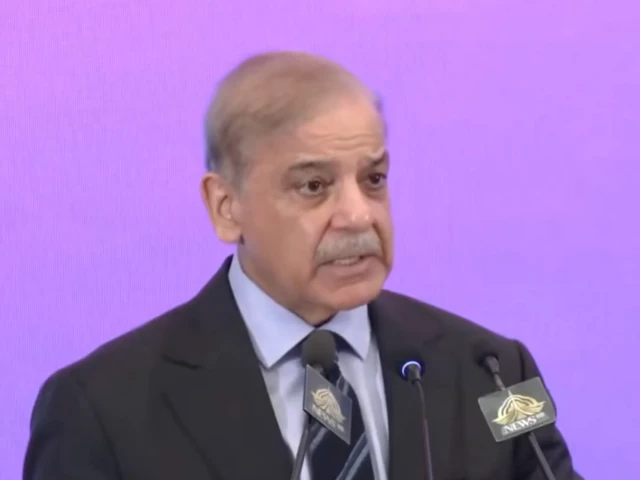 وزیراعظم شہباز شریف اجلاس کی صدارت کرتے ہوئے