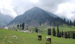 کمراٹ ویلی میں باپ نے اپینڈکس کے مریض بچی کو پیٹھ پر اٹھا کر سنگلاخ چٹانیں عبور کیں | لمحہ نیوز